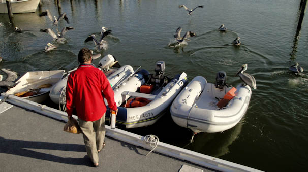 naplesdinghydock-14.jpg