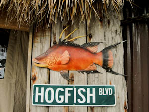 hogfishbargrill-4.jpg