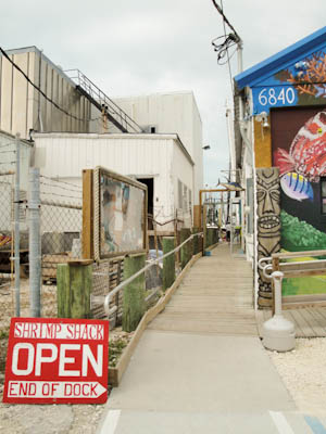 shrimpbusterz-5b.jpg