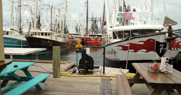 shrimpbusterz-7.jpg