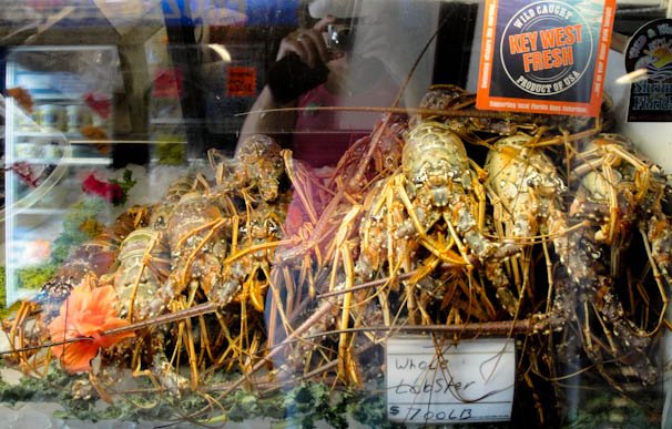 seafoodcase-4.jpg