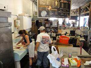 seafoodcase-9.jpg