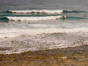 surfers-12.jpg