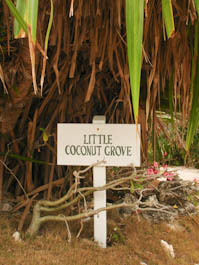 littlecoconutgrovesign-4.jpg