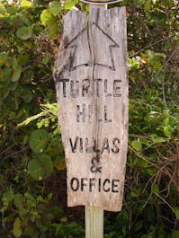 turtlehillsign-1.jpg