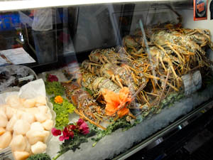 seafoodcase-6.jpg